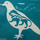 Birdsilu (1 of 1).thumb